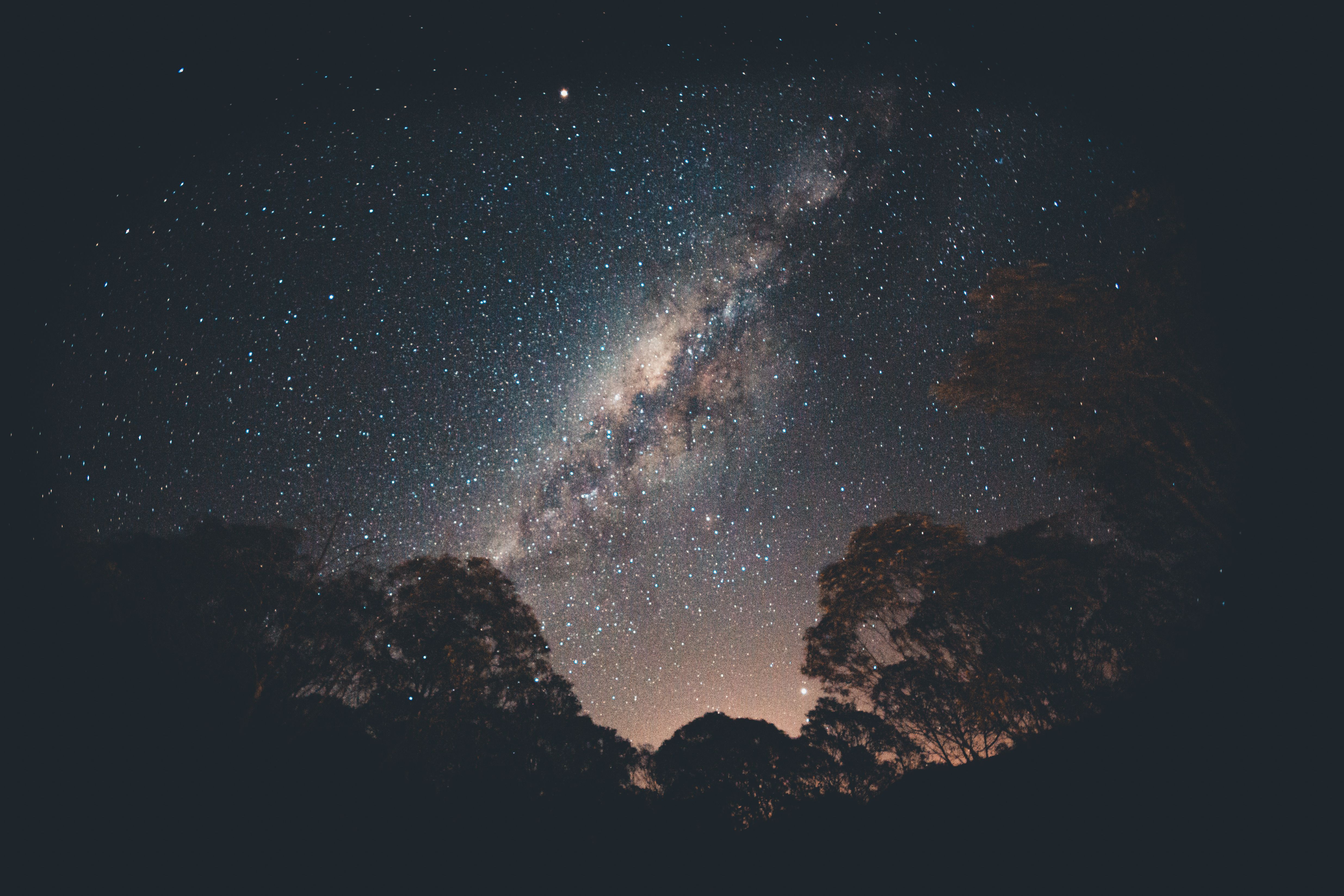 Milky Way over the treeline